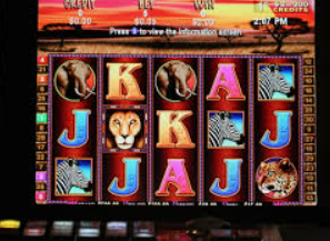 ky888.kkcc开元下载免费版